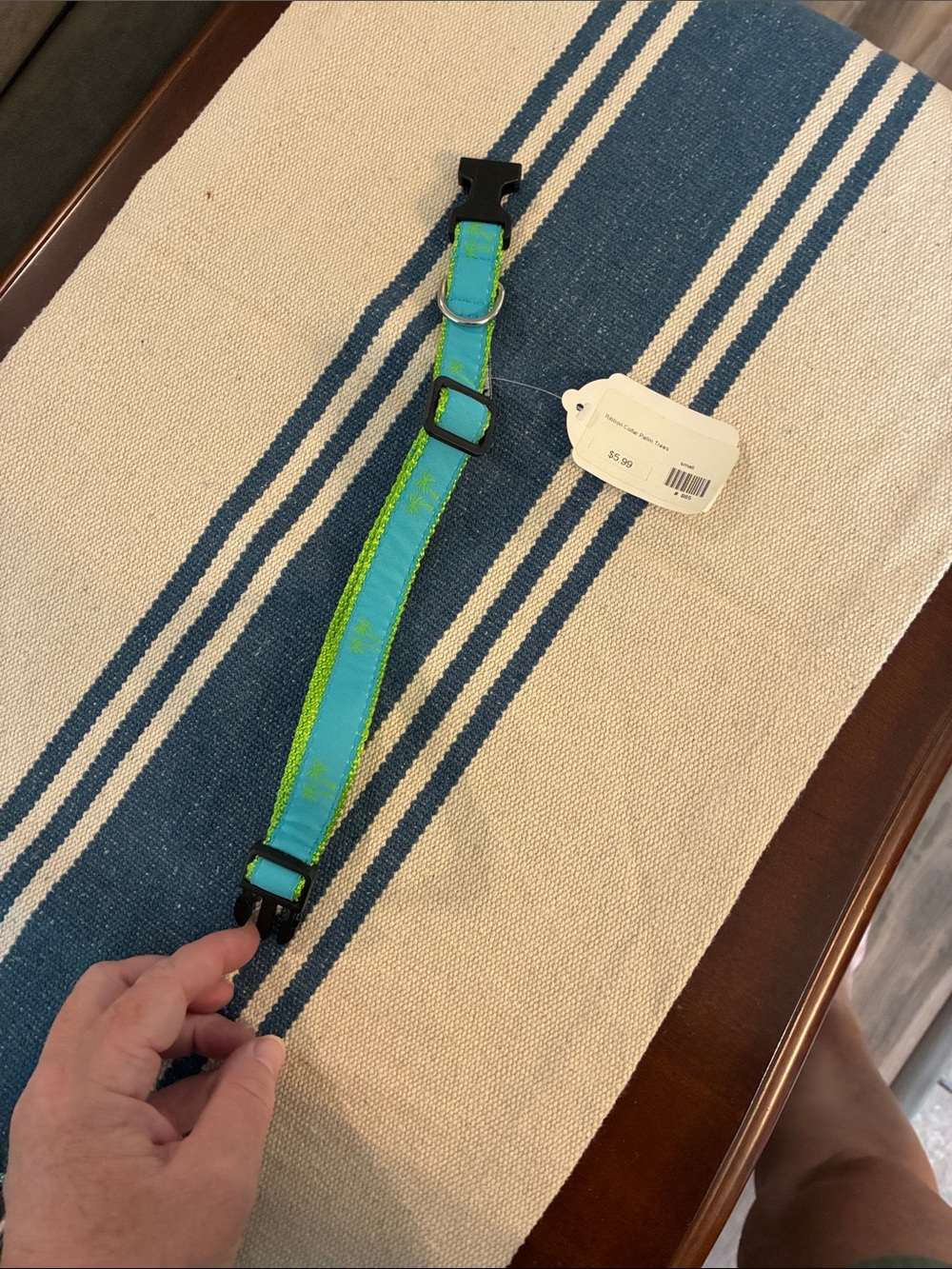 Mudd Blue & Green Adjustable Dog Collar with D-Ring